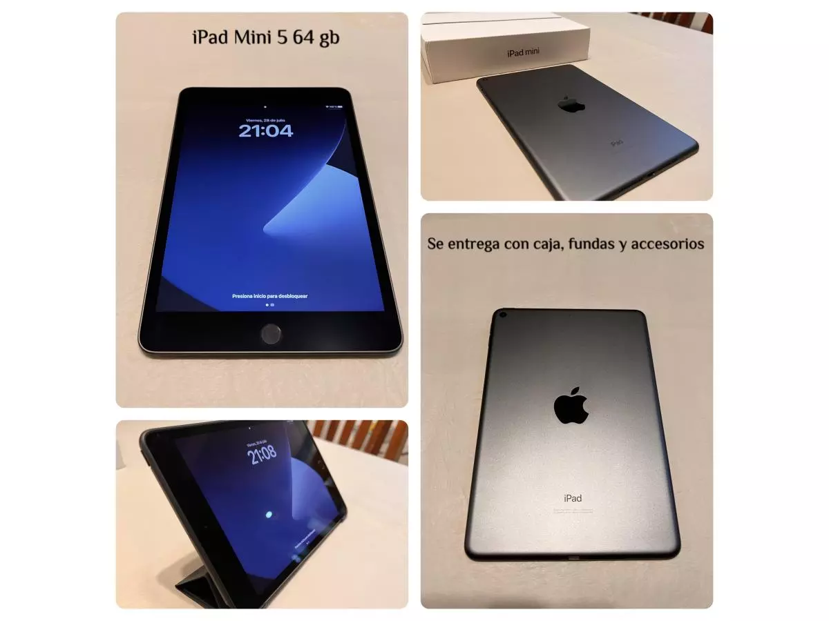 iPad Mini 5 64gb con funda y accesorios como nueva Barracas 