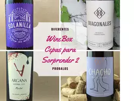 WineBox Cepas para Sorprender 2 - Caja de 6 vinos - Imagen 1
