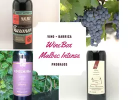 WineBox Malbec Intense - Caja de 6 vinos - Imagen 1
