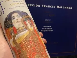 SAINT FELICIEN - COLECCIÓN FRANCIS MALLMANN - Imagen 6