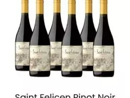 Vino Saint Felicien Pinot Noit X 6 - Imagen 1