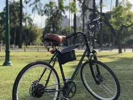 Bicicleta Electrica FRANK - Imagen 1