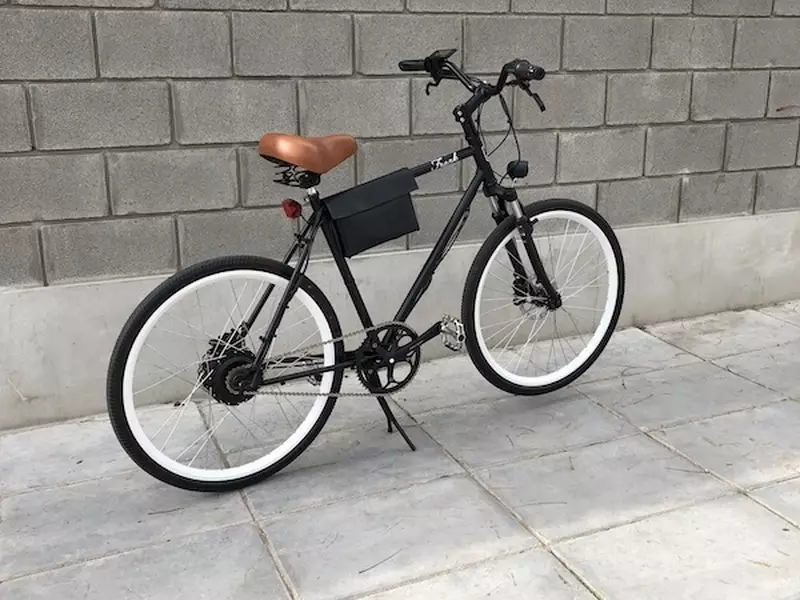 Bicicleta Electrica FRANK - 2