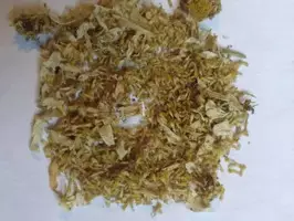 Combo 6 semillas hierbas medicinales p/ germinar - Imagen 5