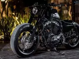 Harley Davidson Sportster 883 - Imagen 1