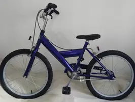 Bicicleta Olmo Rodado 20 - Infantil - Nueva - Imagen 3