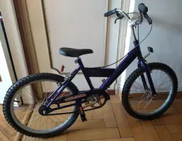 Bicicleta Olmo Rodado 20 - Infantil - Nueva - Imagen 5