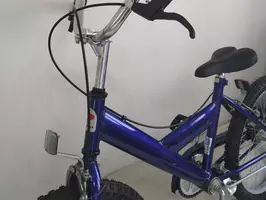 Bicicleta Olmo Rodado 20 - Infantil - Nueva - Imagen 7