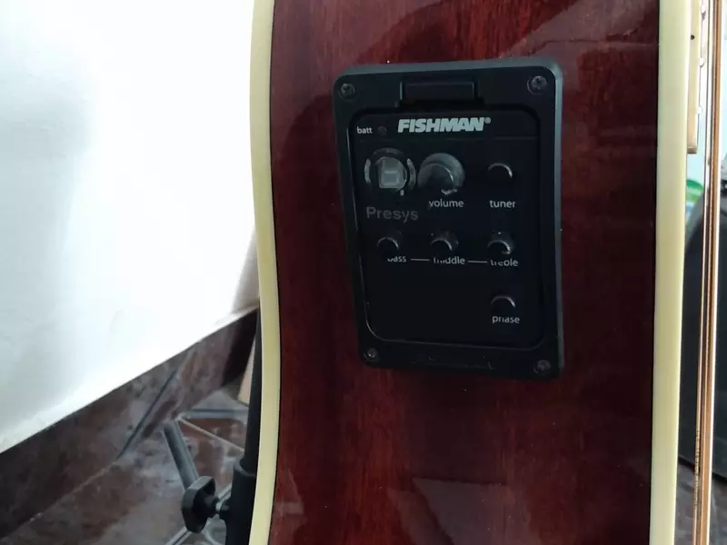 Fender Kingman Bass SCE Acoustic/Elec 2011 + Funda - 4