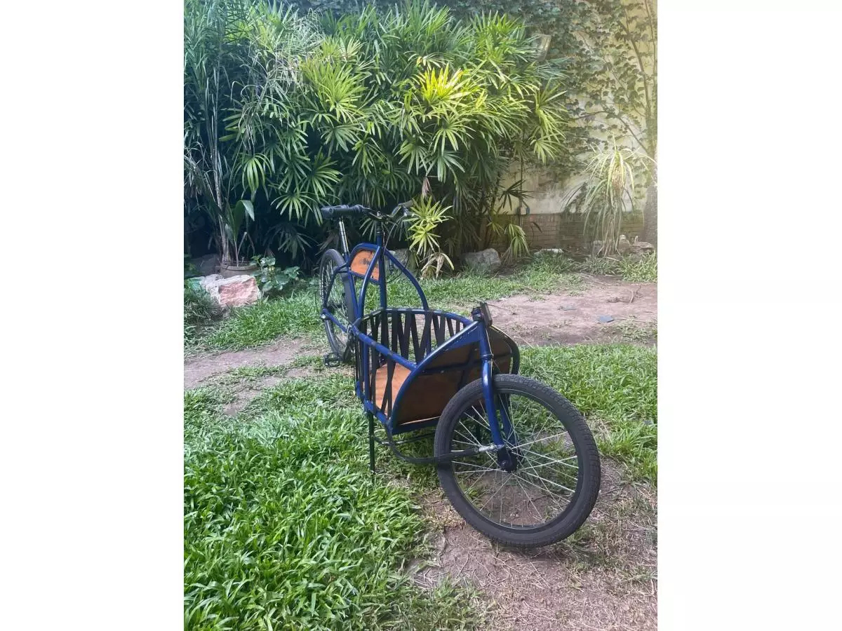 Bicicleta de Carga - 2