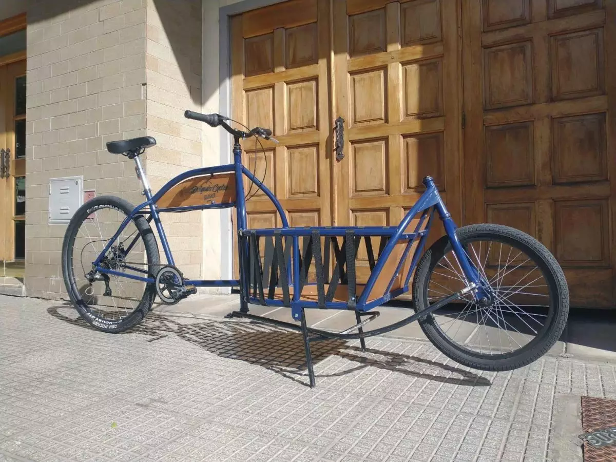 Bicicleta de Carga - 3