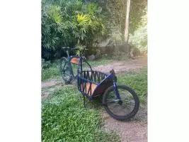 Bicicleta de Carga - Imagen 8