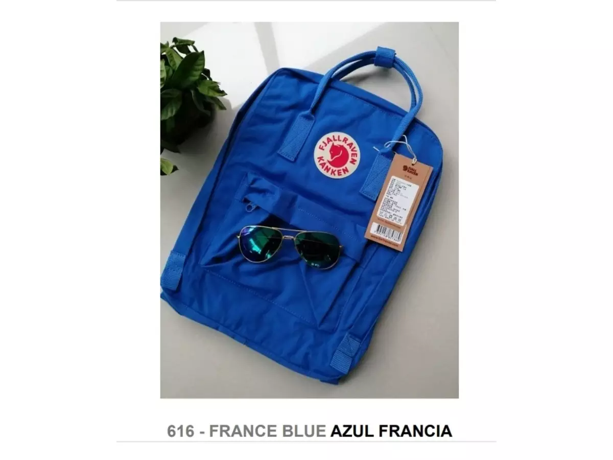 Mochila Fjallraven Kånken CLASSIC Azul Francia - 1