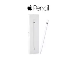 Apple Pencil 1 + Cargador USB - Excelente Estado