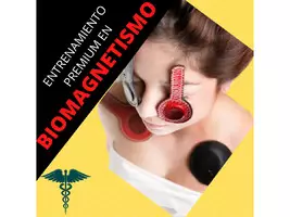 Biomagnetismo Magnetoterapia Cursos Online 100% - Imagen 3