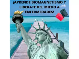 Biomagnetismo Magnetoterapia Cursos Online 100% - Imagen 5