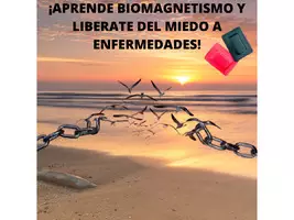 Precurso Y Manual Del Par Biomagnetico Mas 10 Iman