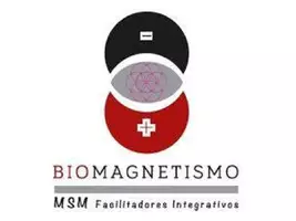 Precurso Y Manual Del Par Biomagnetico Mas 10 Iman - Imagen 4