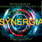 synergiacapital BienesRContratos4.0